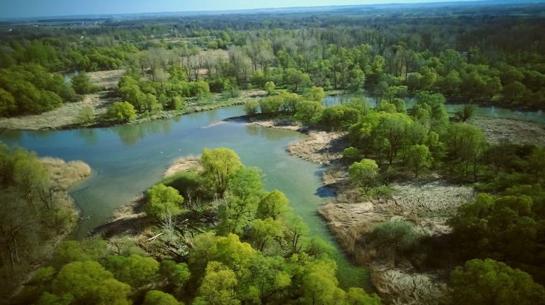 Das Rauschen der Isar