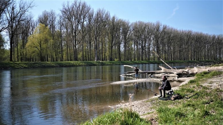 Das Rauschen der Isar