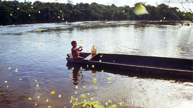 Ur-Amazonas - Fluss aus der Wüste