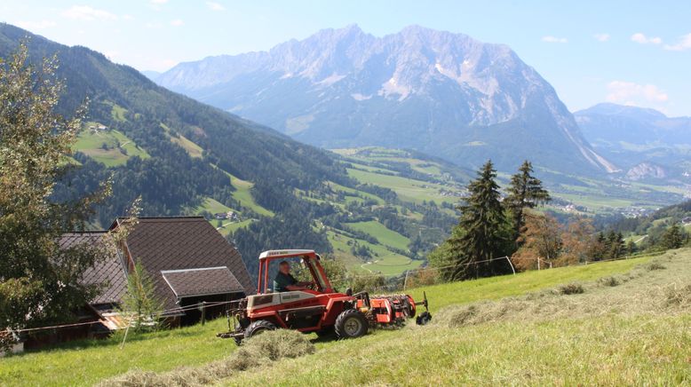 Sommer im steirischen Ennstal