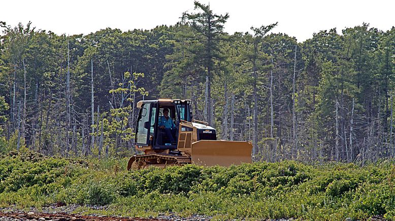 Die Schatzsucher von Oak Island