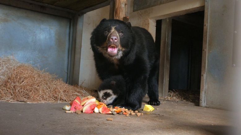 Zoo und so - Tierisch wild!