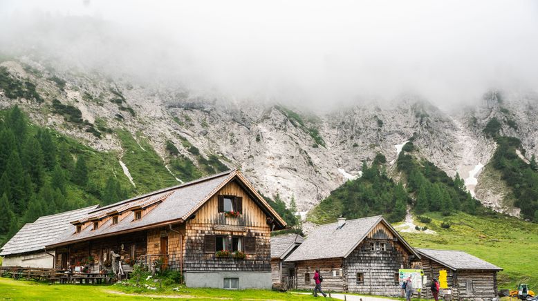 Hin über d'Alm - Auf der steirischen Ursprungalm mit Conny Bürgler