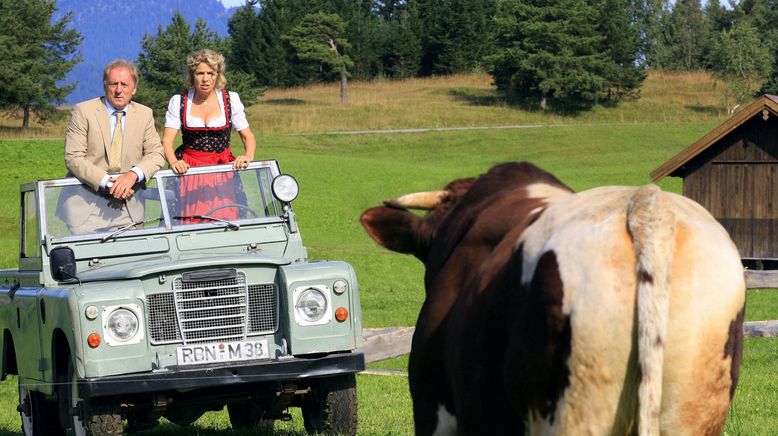 Eine Sennerin zum Verlieben