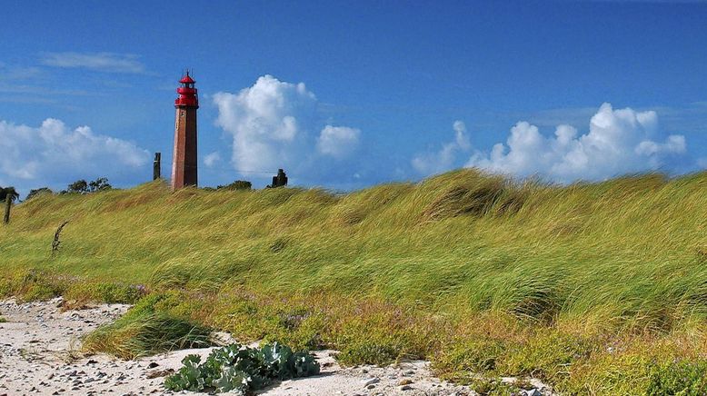 Land zwischen Belt und Bodden