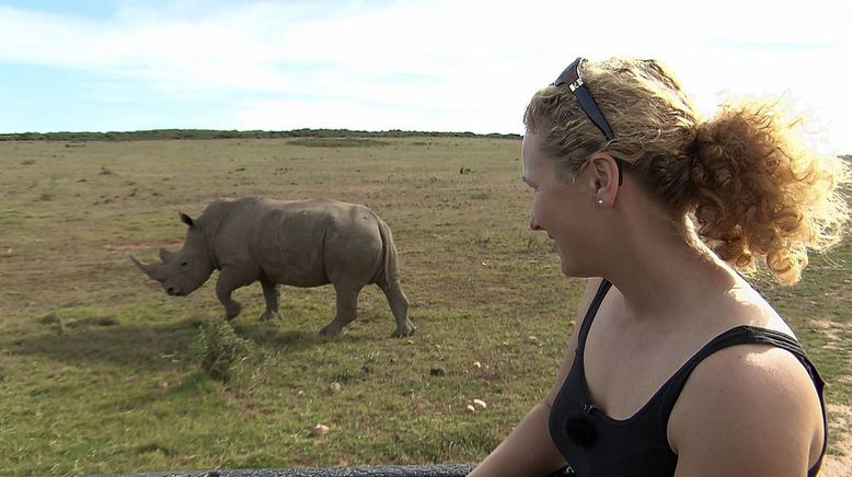 Am Kap der wilden Tiere