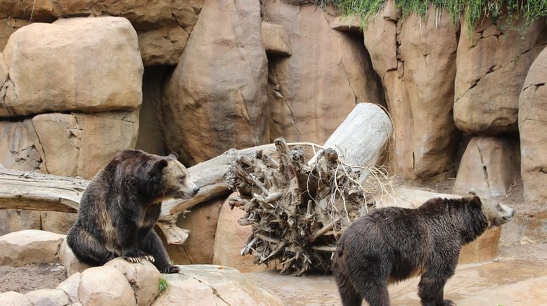 San Diego Zoo