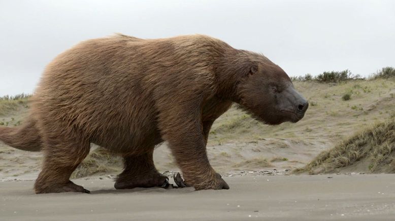 Giganten der Urzeit