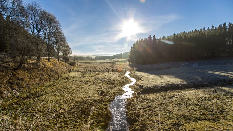 Wunderschön