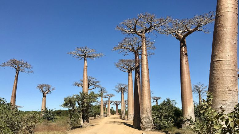 Unbekanntes Madagaskar