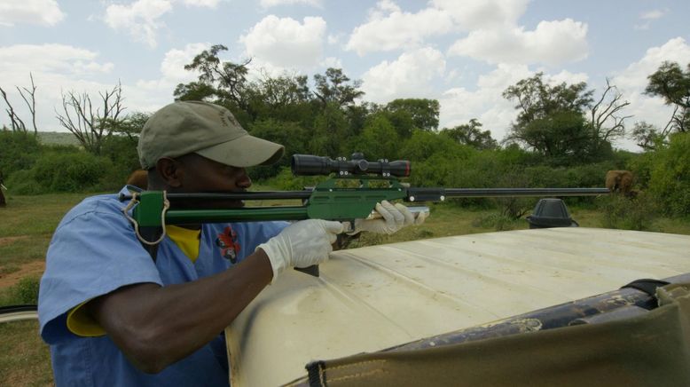 Tagebuch der Wildnis in Kenia