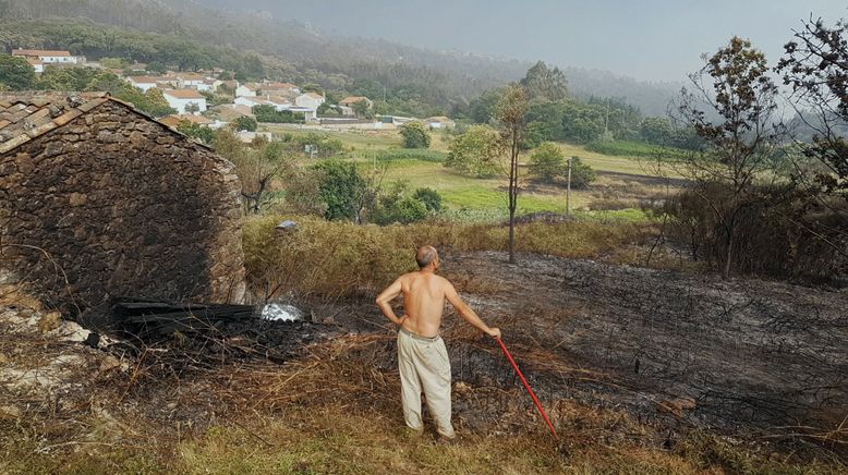 Vom Feuer bedroht - Waldbrand in Portugal