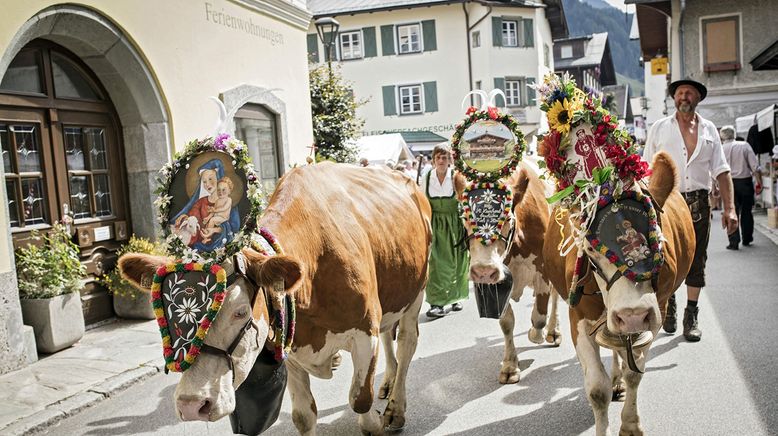 Bauernherbst im Salzburger Land