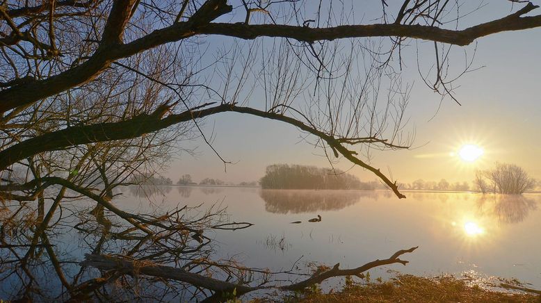 Die Elbe