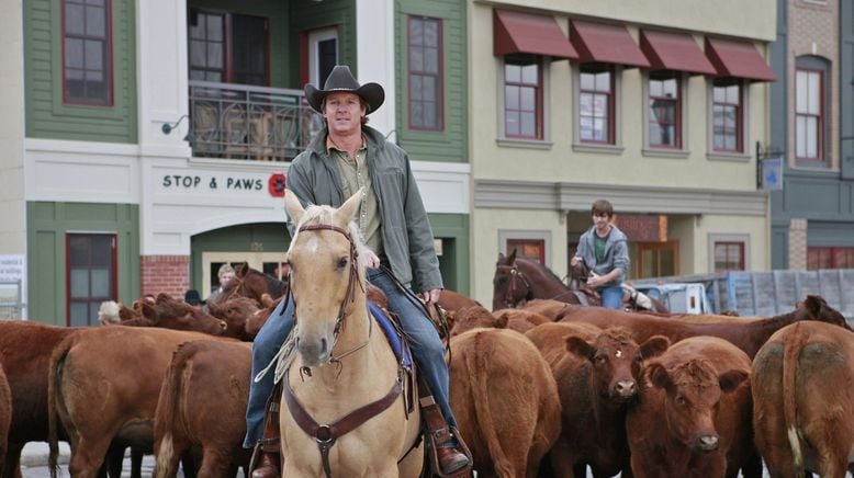 Heartland - Paradies für Pferde