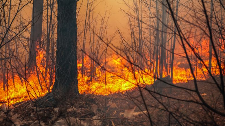 Monsterwetter: Erdrutsch, Fluten und Tornados