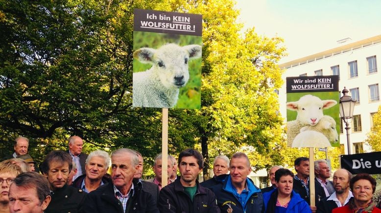 Die Rückkehr - Wölfe in Bayern