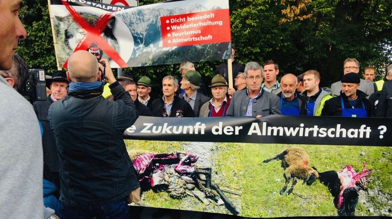 Die Rückkehr - Wölfe in Bayern