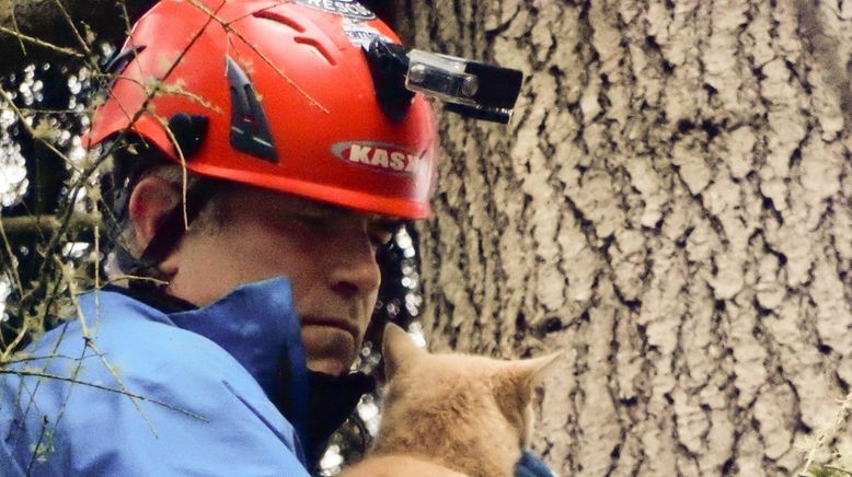 Die Katzenretter - Einsatz in der Baumkrone