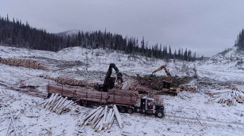 Mud Mountain Truckers