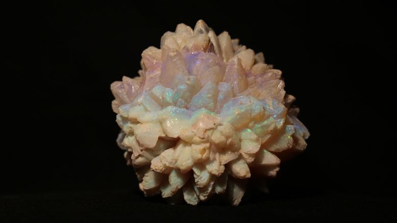 Outback Opal Hunters - Edelsteinjagd in Australien