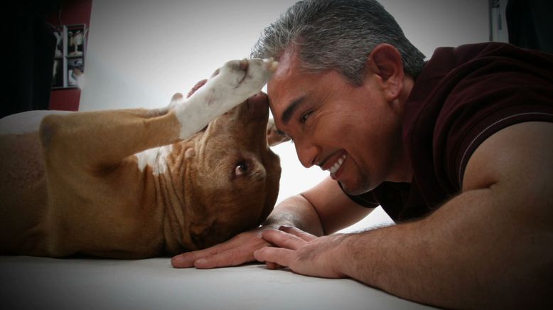 Cesar Millan: Die Pit Bull Story