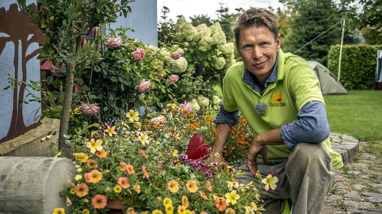 Rasch durch den Garten