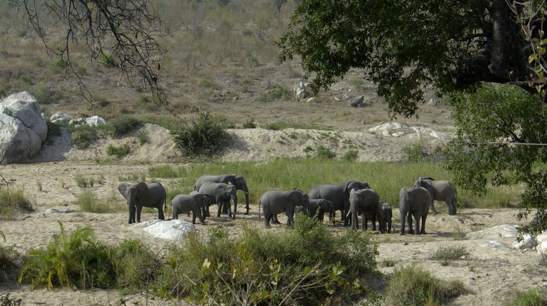 Wasserwelt Afrika