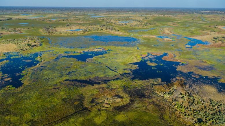 Wasserwelt Afrika