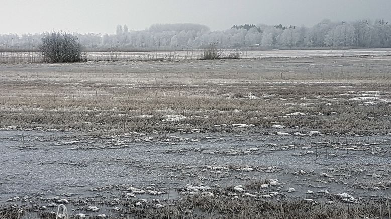 Faszinierender Bodensee