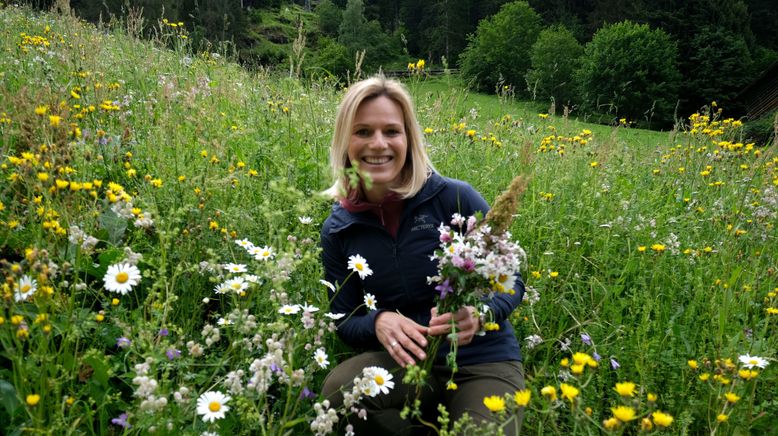 Über die Dreitausender - Marlies Raich im Paznaun