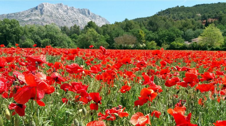 Aix-en-Provence, da will ich hin!