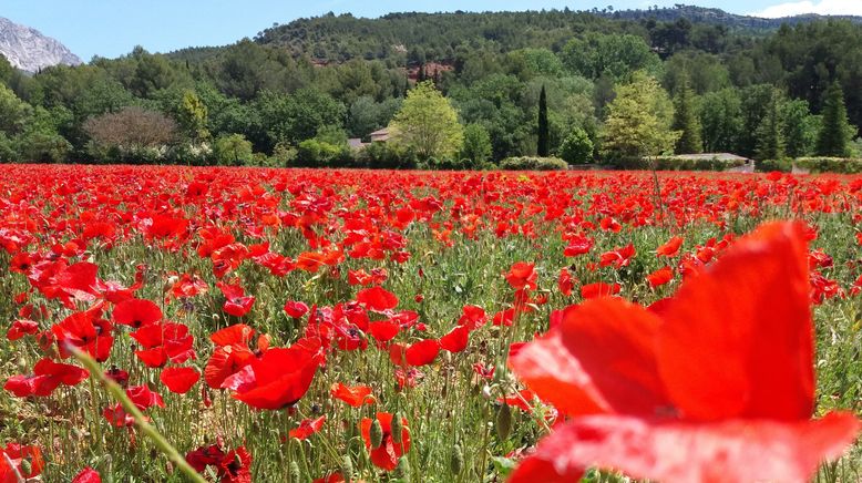 Aix-en-Provence, da will ich hin!