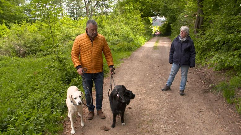 Hunde verstehen!