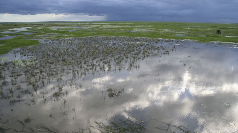 Afrikas verlorenes Paradies