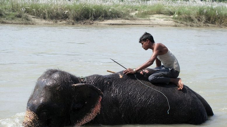 Reisen in ferne Welten: Nepal