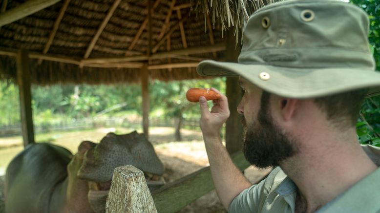 Escobar: Die Jagd nach den Millionen