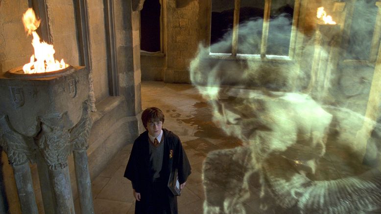 Harry Potter und die Kammer des Schreckens