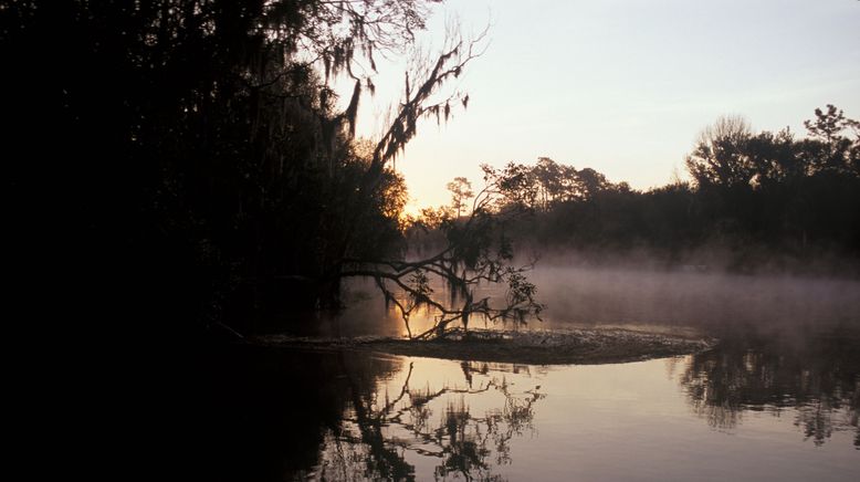 Ol' Man River - Mächtiger Mississippi