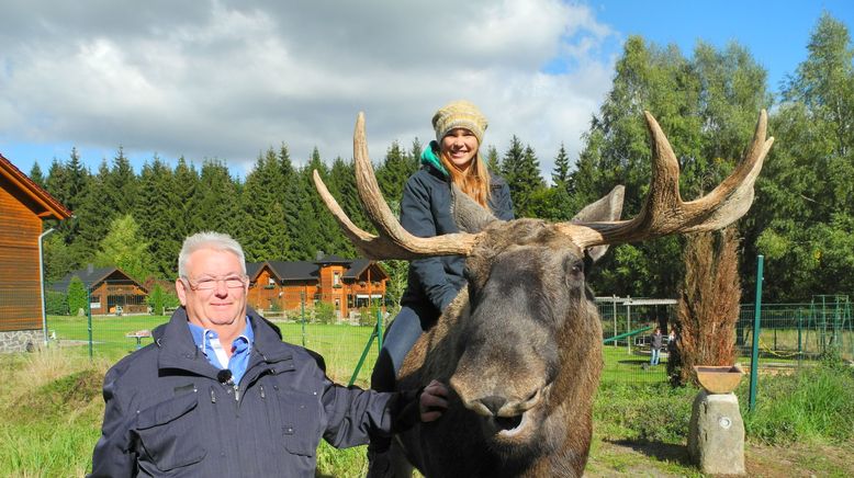 Anna und die wilden Tiere