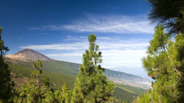 Nachhaltig unterwegs auf Teneriffa