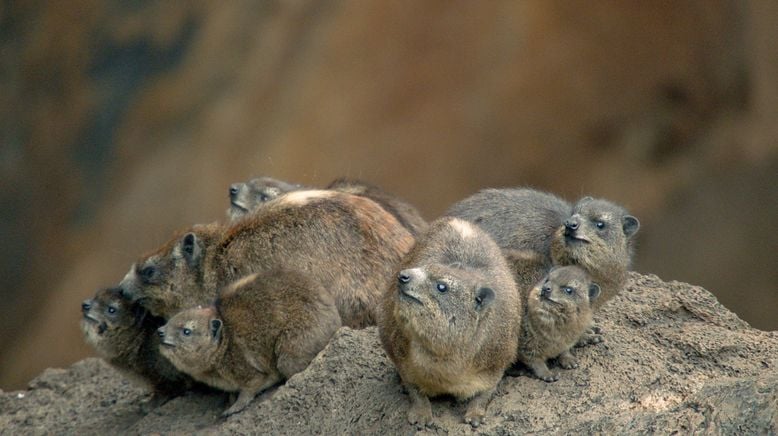 Afrikas geheimnisvolle Welten