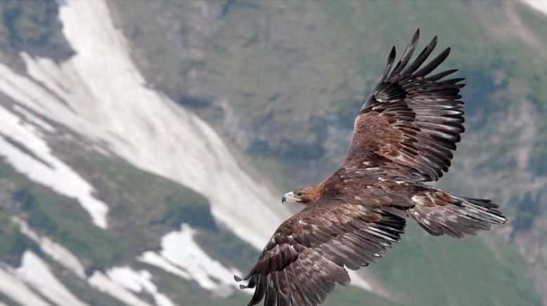 Naturerbe Österreich - Die Nationalparks