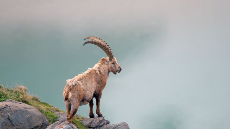 Naturerbe Österreich - Die Nationalparks