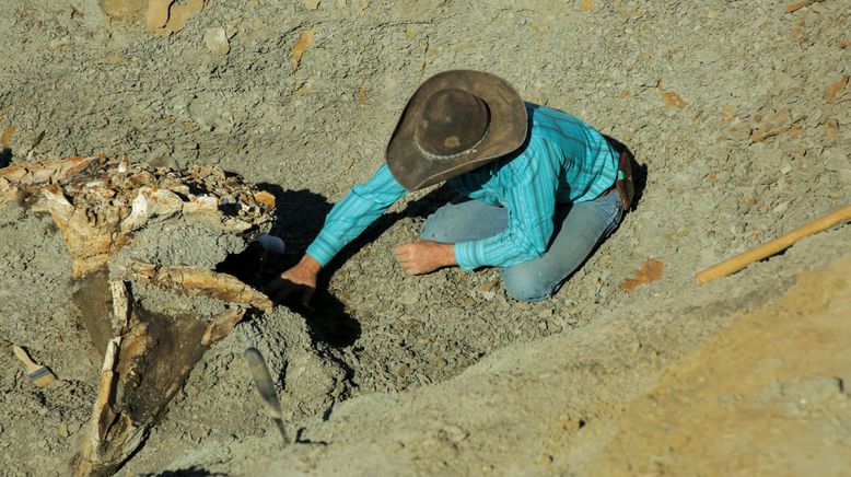 Dino Hunters - Die Fossilienjäger