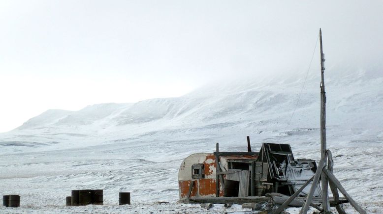 Wrangel Island - Im Treibhaus der Arktis