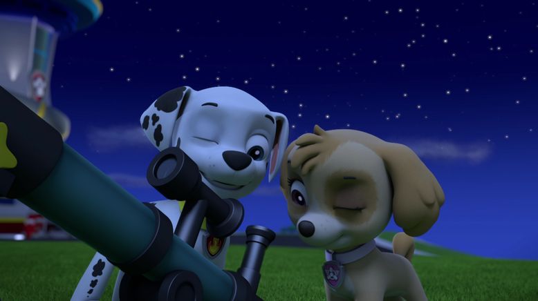 Paw Patrol: Helfer auf vier Pfoten