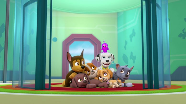 Paw Patrol: Helfer auf vier Pfoten