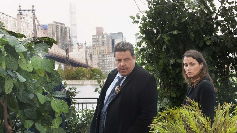 Blue Bloods - Crime Scene New York