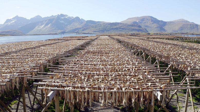 Ein Jahr auf den Lofoten